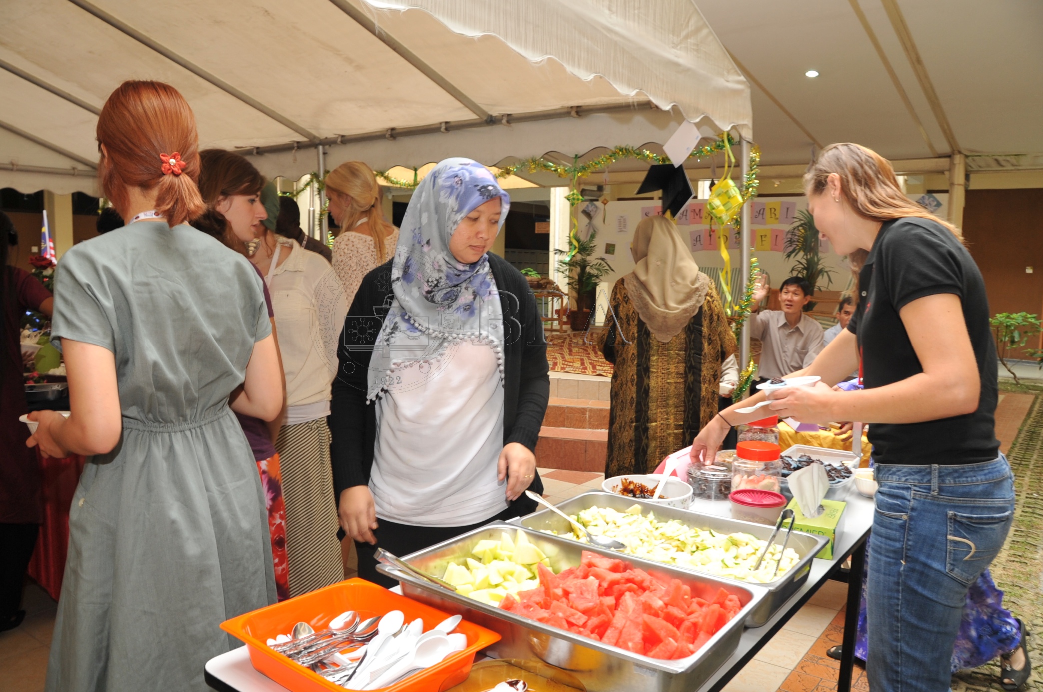 BPA 12 113 msk PRO 6007